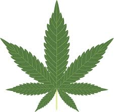 weed leaf